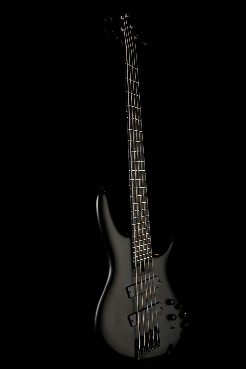 Ibanez iron online label bass