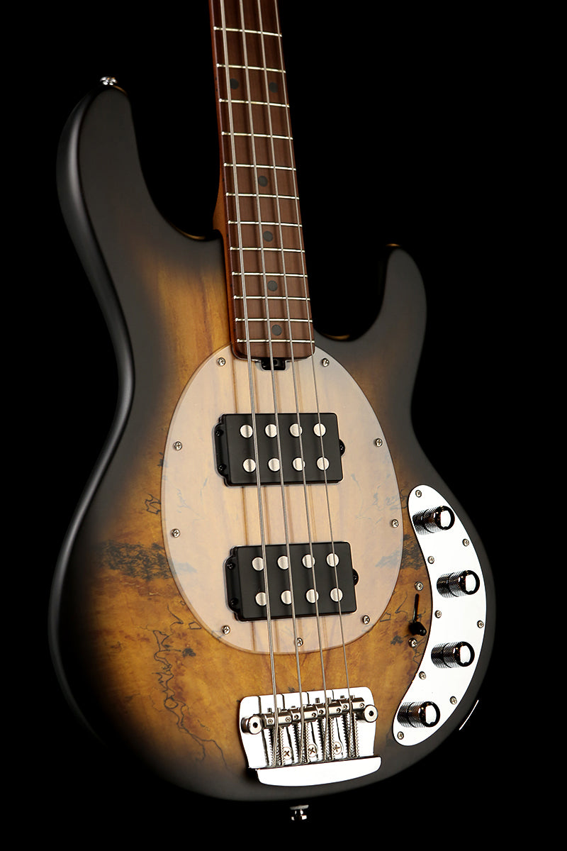 Sterling by Musicman Ray34 HH Spalted Top | Bass Centre