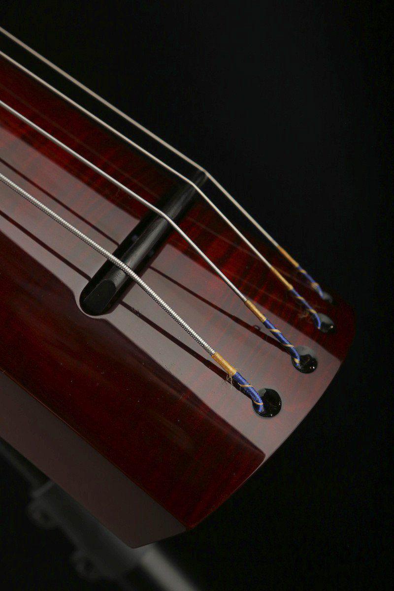 electric upright bass plans